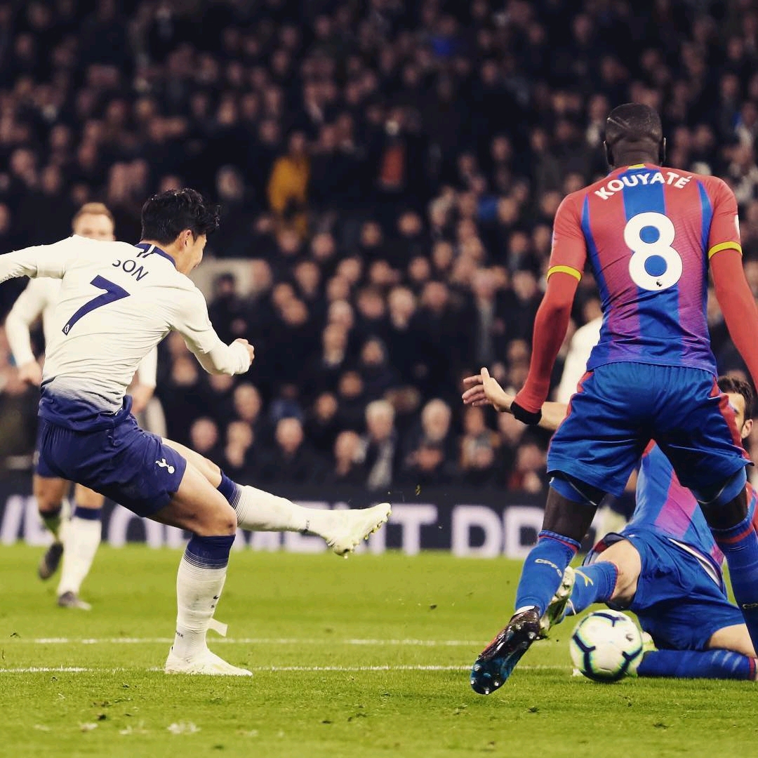 文化交流的 文化交流的