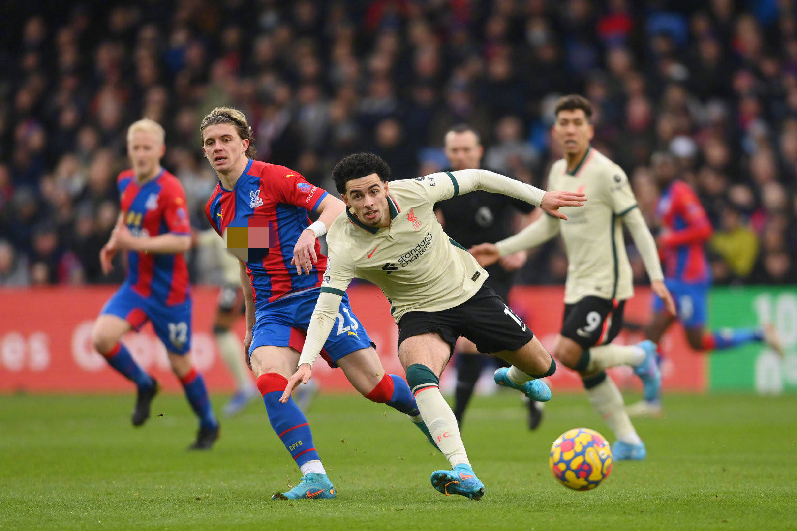 其专业性和 其专业性和